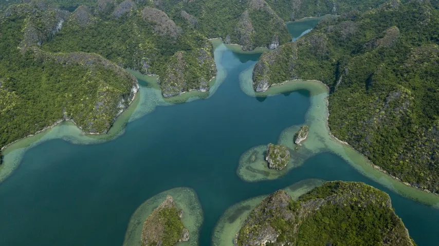 Bai Tu Long bay boottocht dimsum reizen